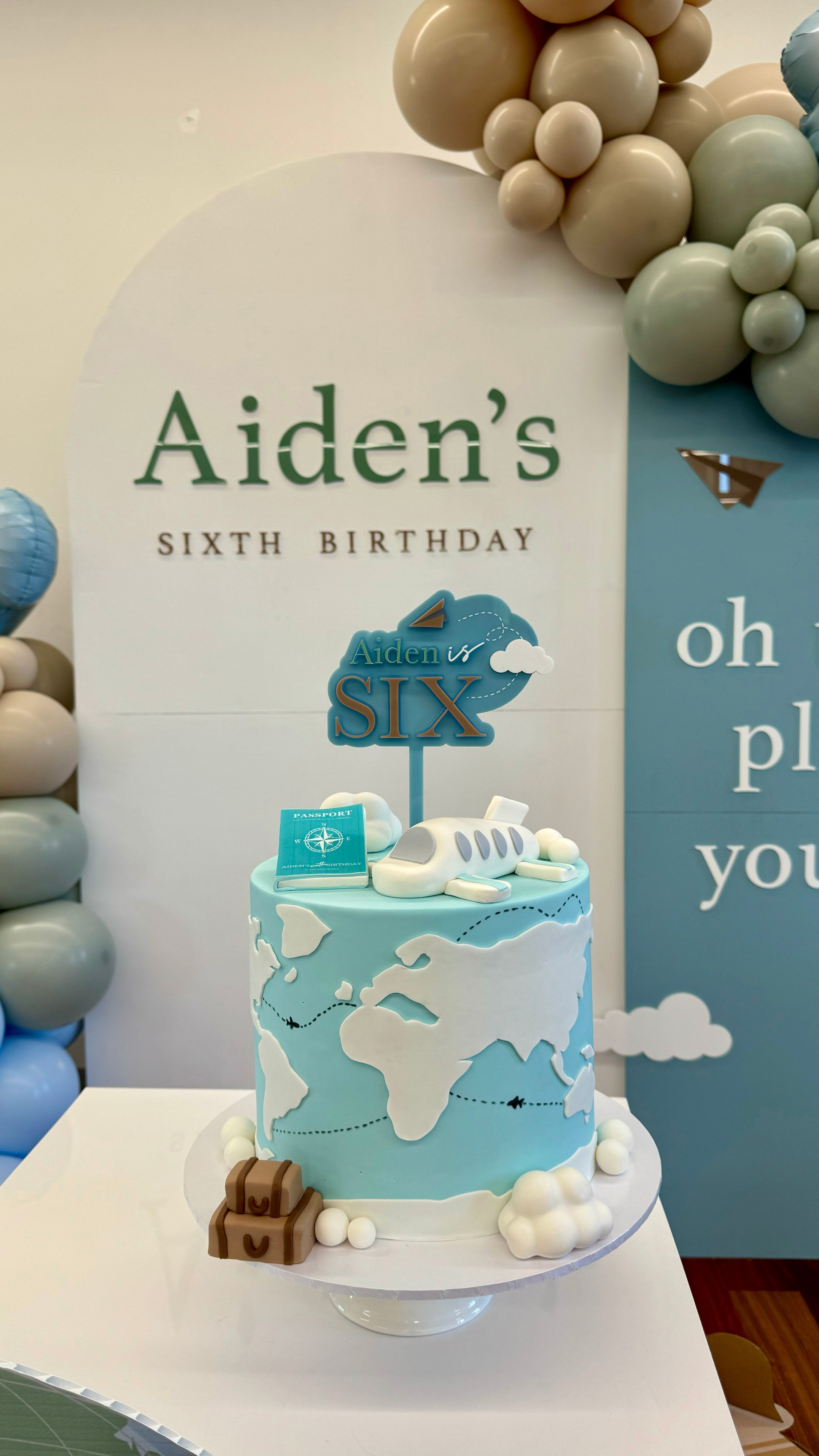 Aiden’s Sixth Birthday