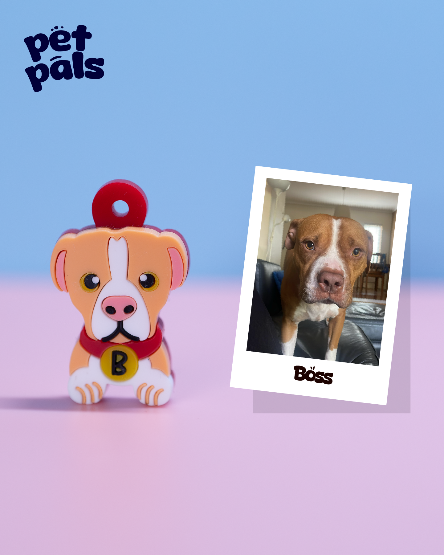 Pet Pals
