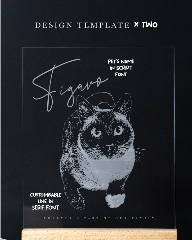 DESIGN TEMPLATE TWO