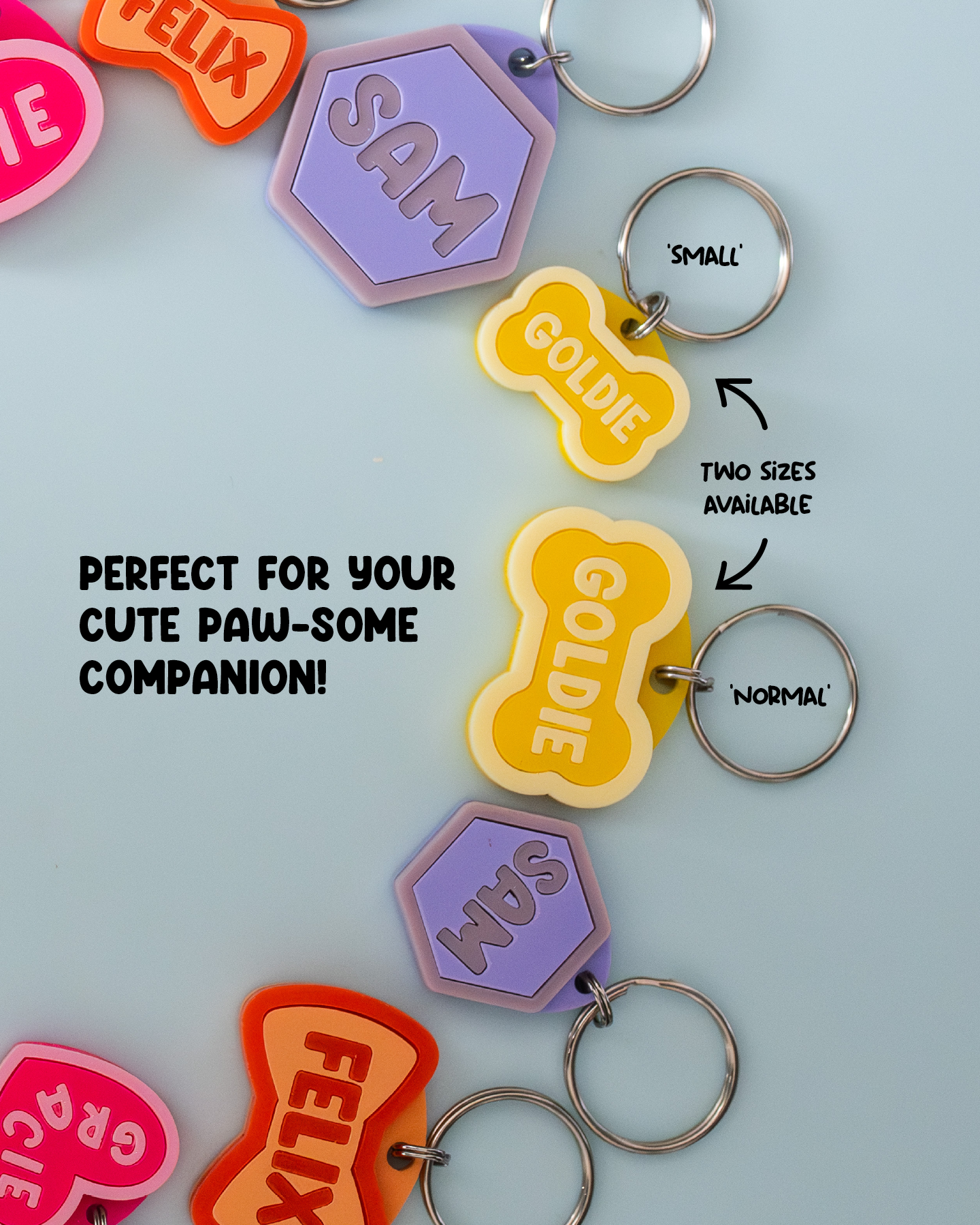 Personalised Pet Tags