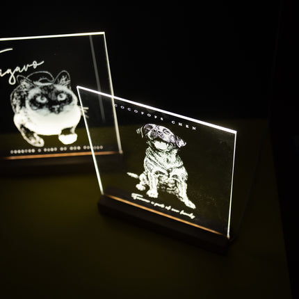 Pet Portrait Light Stand