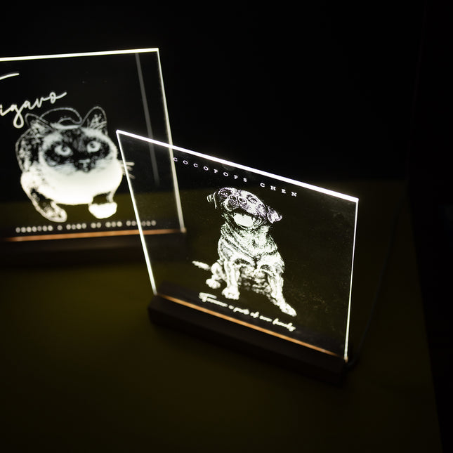 Pet Portrait Light Stand