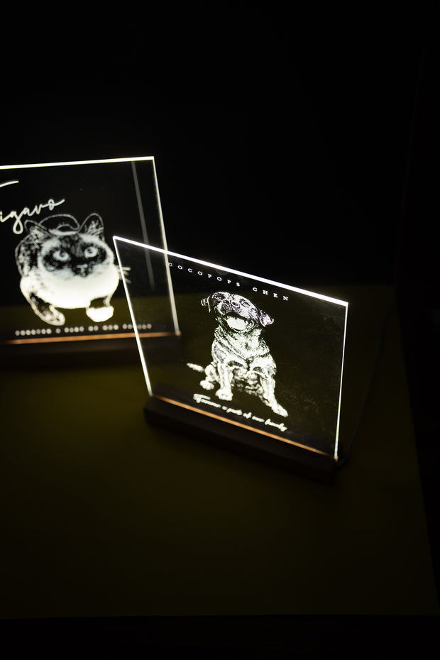 <h2>Pet Portrait <br/>Light Stand</h2>