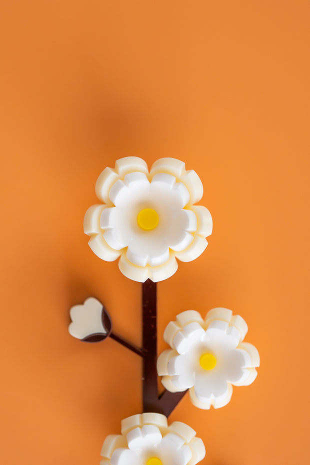 <h2>FOREVER FLOWERS<br/></h2>