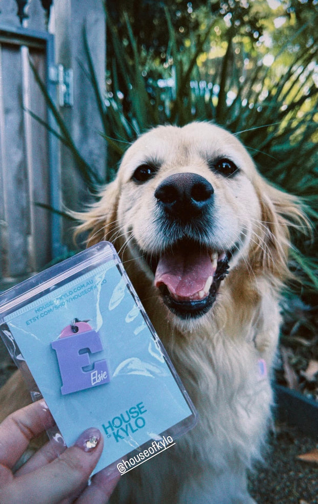 <h1>FOR OUR PETS</h1>