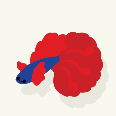 010 - Fighting Fish