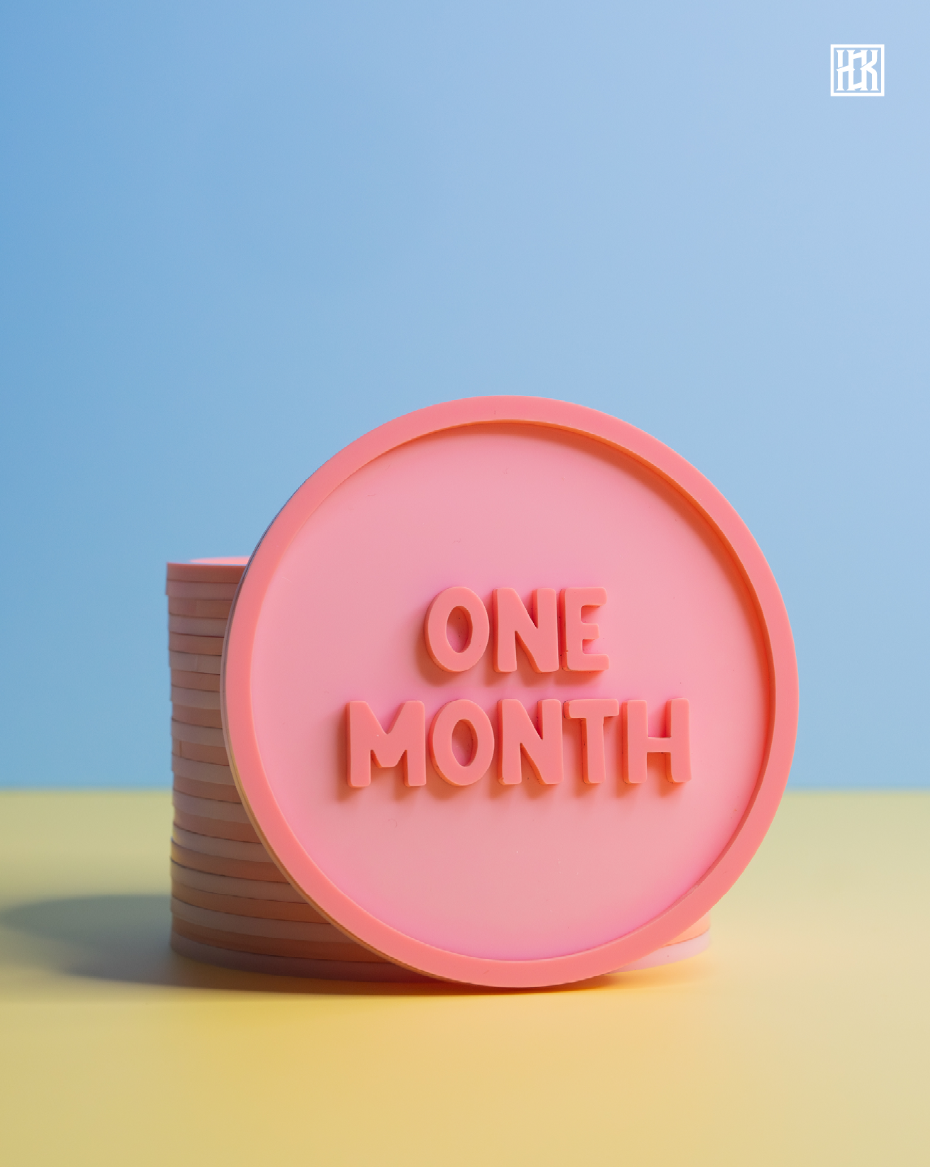 Baby Milestone Disc Set - Double Pink (Pack of 12)